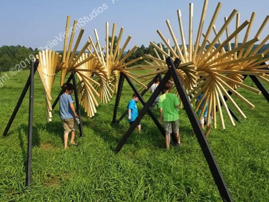 Swarm at King Farm