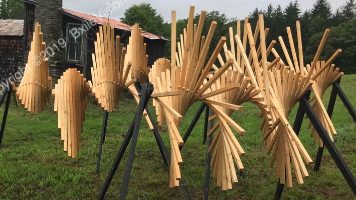 Swarm at King Farm